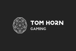 最受欢迎的在线Tom Horn Gaming老虎机