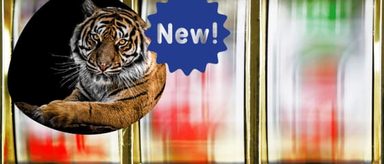 放松游戏欢迎 2022 Tiger Kingdom Infinity Reels